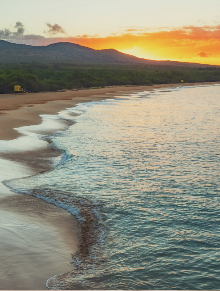 Beautiful Hawaiian sunset beach with golden sky and gentle waves - the natural paradise that drew Diane and George to choose this location