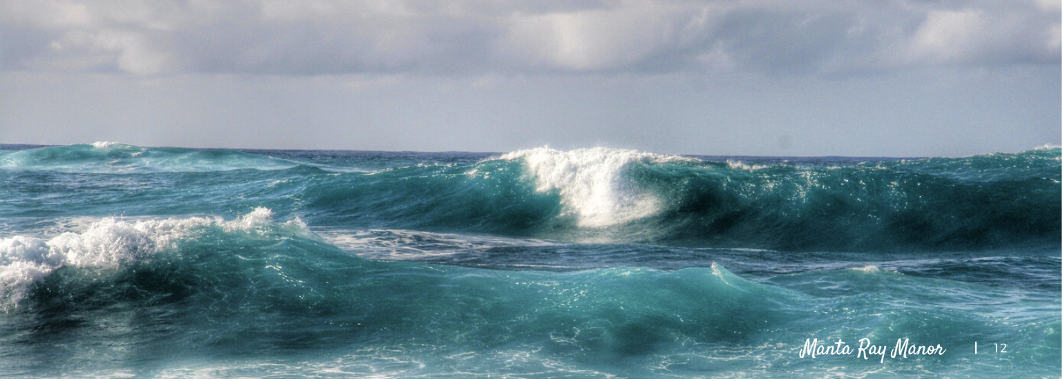 Expansive view of turquoise Pacific Ocean waves stretching to the horizon near Manta Ray Manor - showcasing the vast beauty of Kona's pristine waters